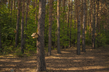 Similar image 21042034