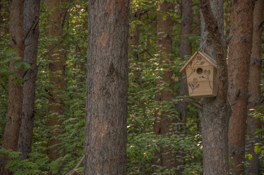 Similar image 21042035