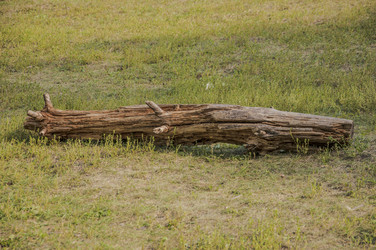 Similar image 21042036