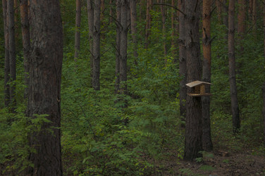 Similar image 21053860