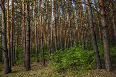 Similar image 21053861