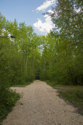 Similar image 21053862