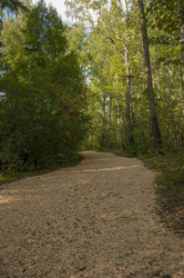 Similar image 21053863