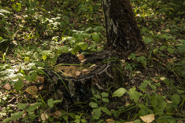 Similar image 21053864