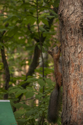 Similar image 21061618