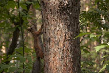 Similar image 21061619