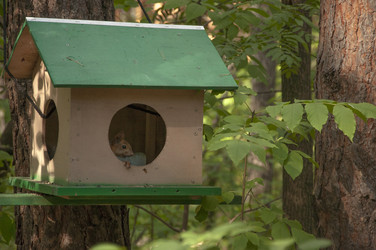 Similar image 21061620