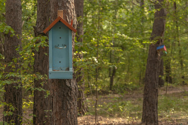 Similar image 21061621