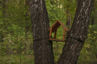 Similar image 21061697