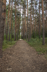 Similar image 21061988