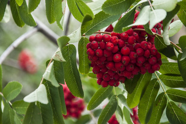 Similar image 21069004