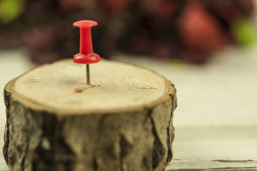 Similar image 21076343