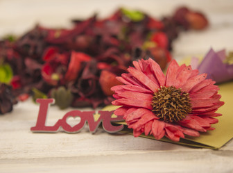 Similar image 21077046