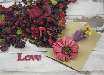 Similar image 21077047