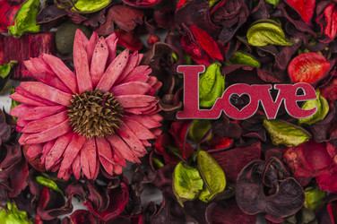 Similar image 21078055