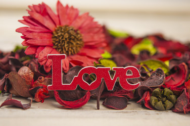 Similar image 21078056