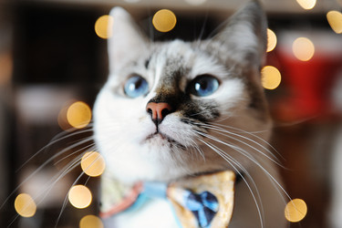 Similar image 21027330