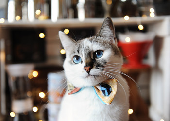 Similar image 21027333