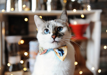 Similar image 21028965