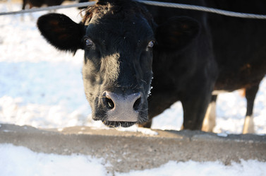 Similar image 21036154