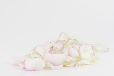 Similar image 21076345