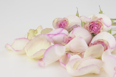 Similar image 21077051