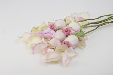 Similar image 21077203