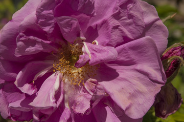 Similar image 21055740