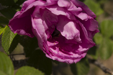 Similar image 21055741