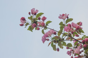 Similar image 21069221