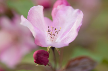 Similar image 21069222