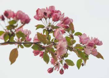 Similar image 21069223