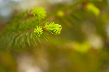 Similar image 21069325