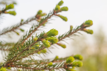 Similar image 21069326