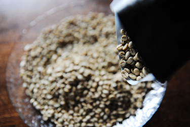 Similar image 21024883