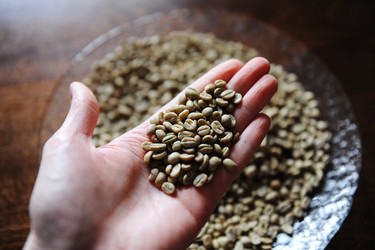 Similar image 21024884