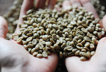 Similar image 21024887