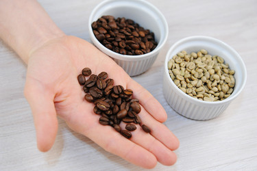 Similar image 21036169