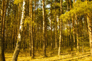 Similar image 21061640