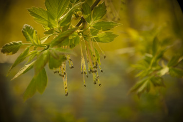 Similar image 21061995