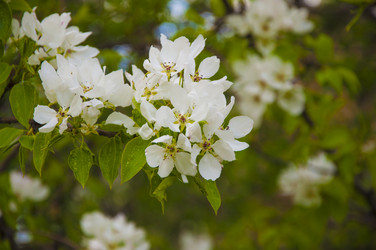 Similar image 21069225