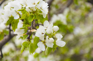 Similar image 21069227