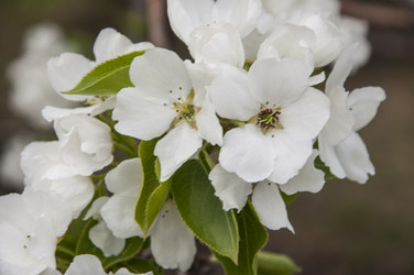 Similar image 21069228