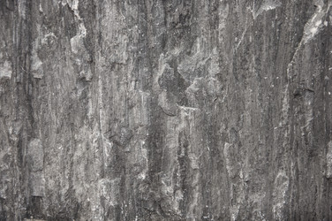 Similar image 21069229