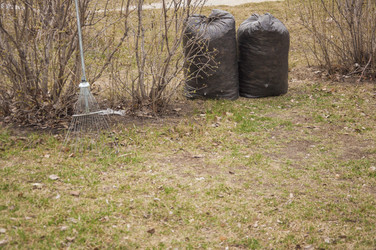 Similar image 21053876