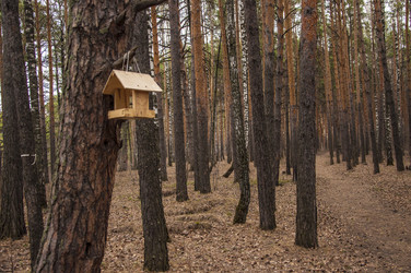 Similar image 21073797