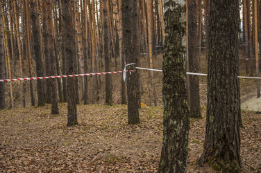 Similar image 21076346