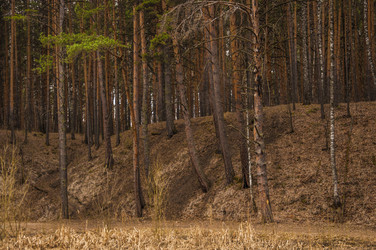 Similar image 21077054