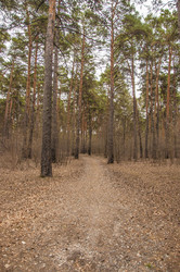 Similar image 21077055