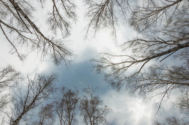 Similar image 21077205